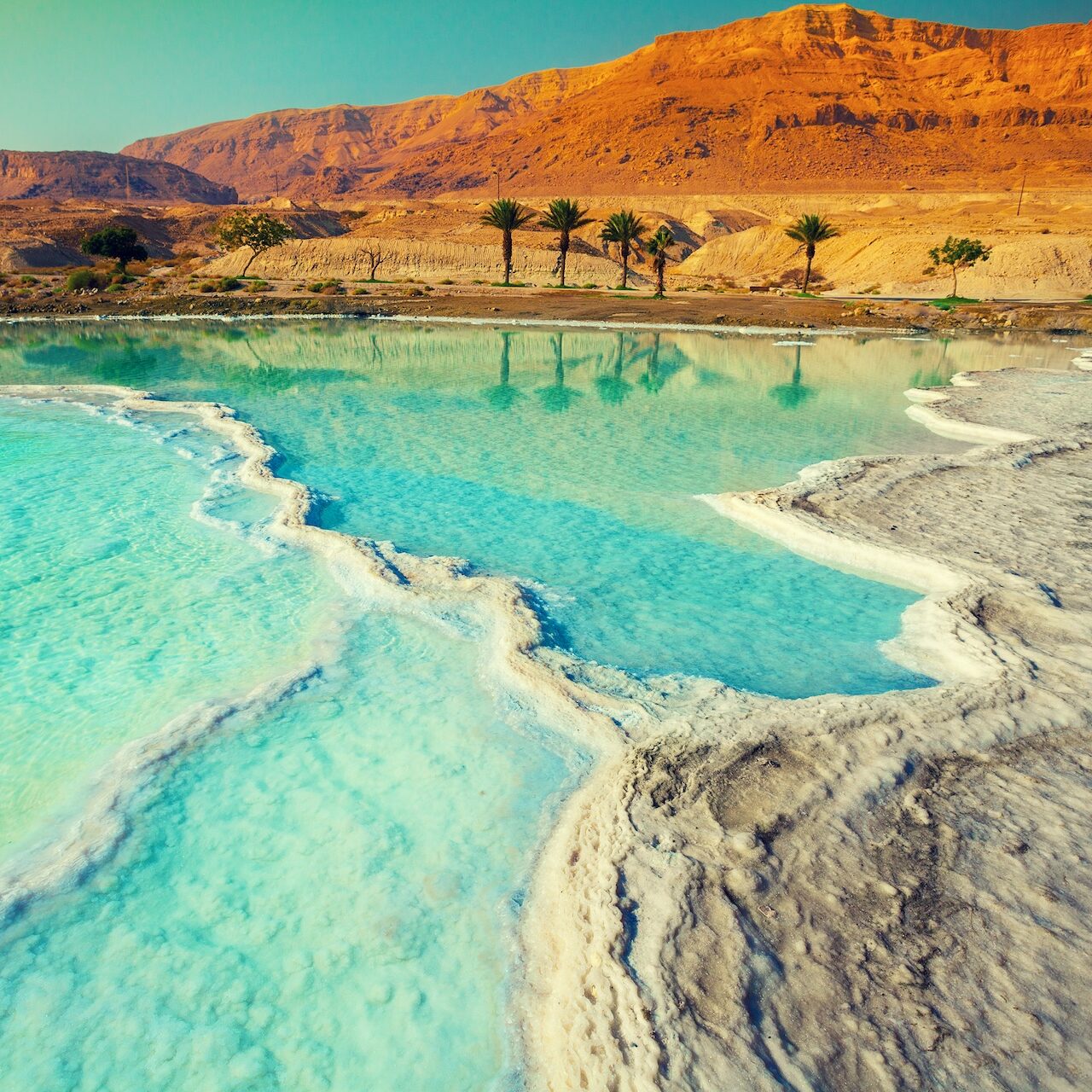Dead sea salt shore